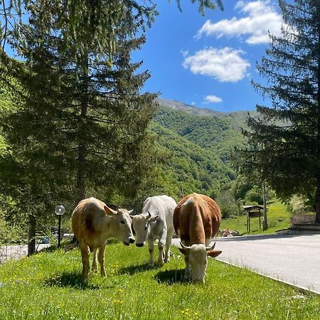 Hotel Campo Stella Леонесса Экстерьер фото